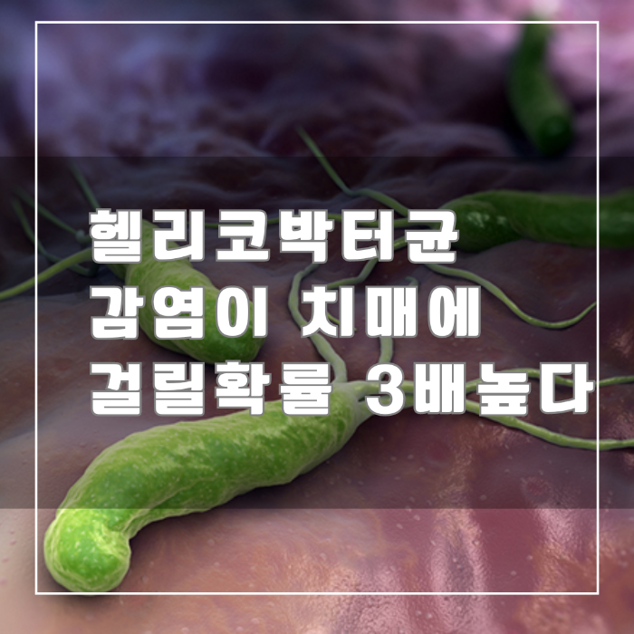 헬리코 박터균 감염