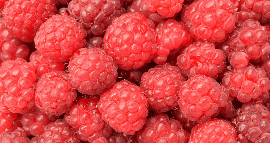 산딸기 사진 - 6