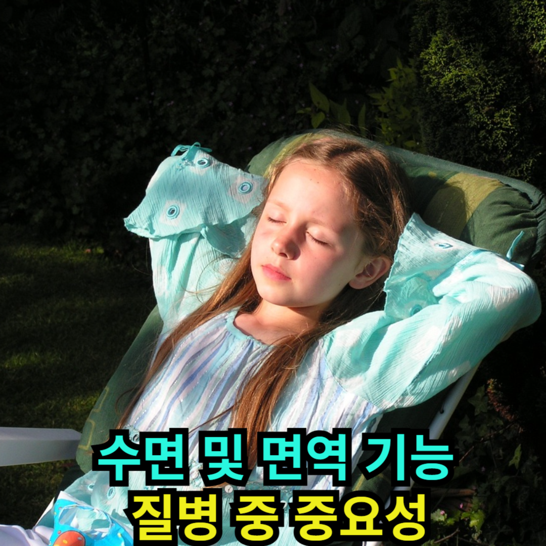 수면 및 면역 기능 - 질병 중 중요성