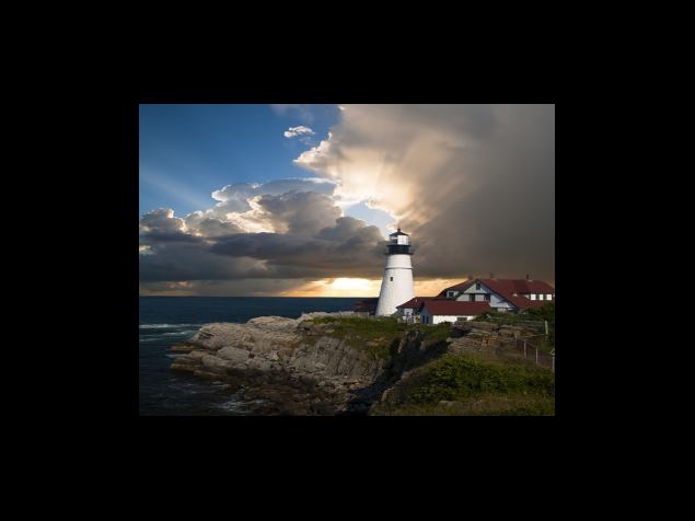 보이차 효능 네 번째 - 활력 향상