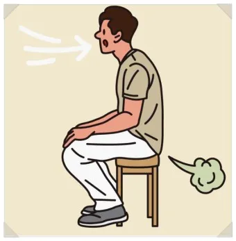 잦은방귀 원인 증상 해결방법_17