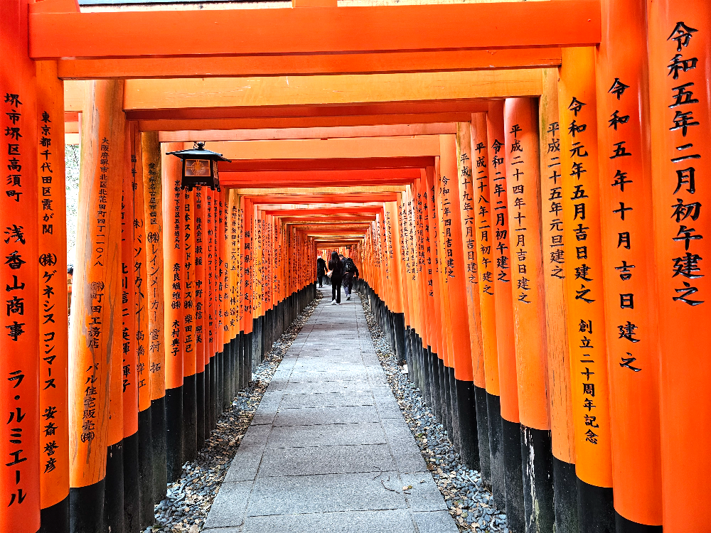 후시미 이나리 신사 도리이