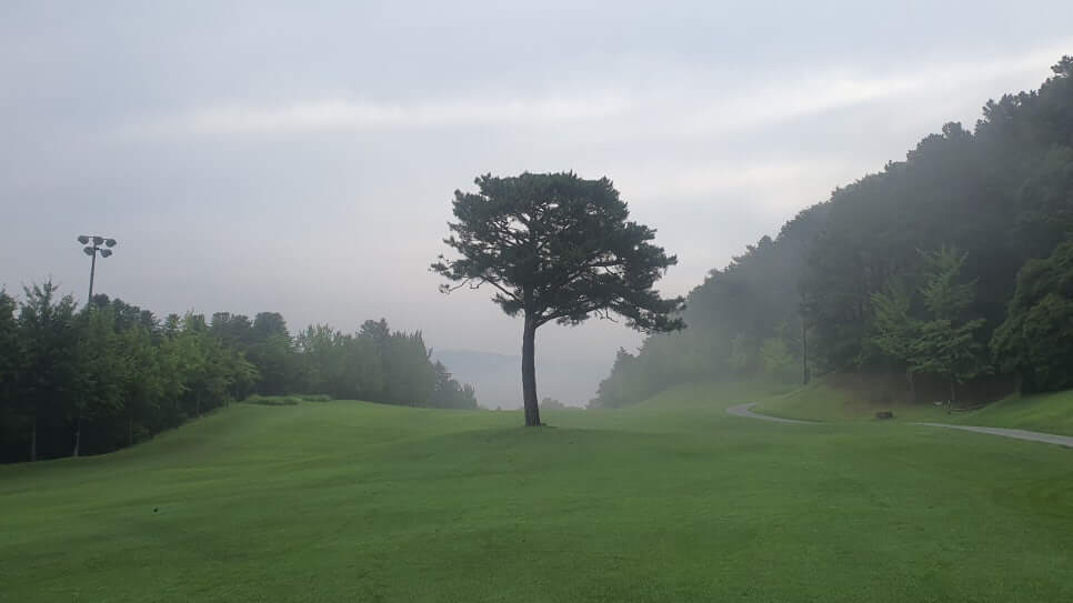 골프장 경험담 광주 더시에나서울cc 오랜 시간 수준 높은 명문의 자리를 지켜온 프레스티지 골프장