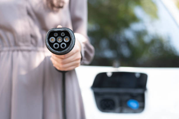 2025년 전기차 보조금 정책 핵심 내용