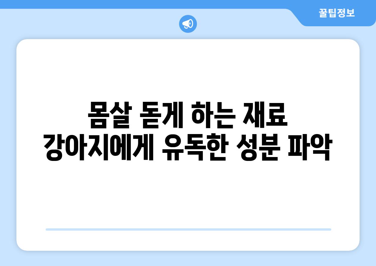 몸살 돋게 하는 재료 강아지에게 유독한 성분 파악