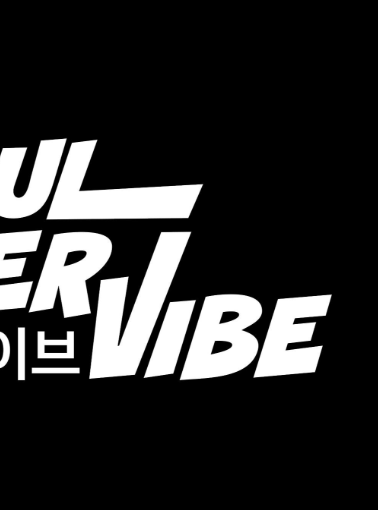 서울썸머바이브 페스티벌 축제정보