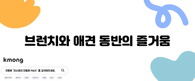 동탄에서 즐기는 브런치 카페 곰돌푸치노 그리고 실내 애견 동반이 가능한 곳입니다!