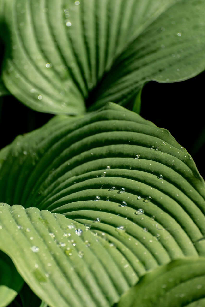 인공광합성 공기 중 CO₂ 직접 전환 도전