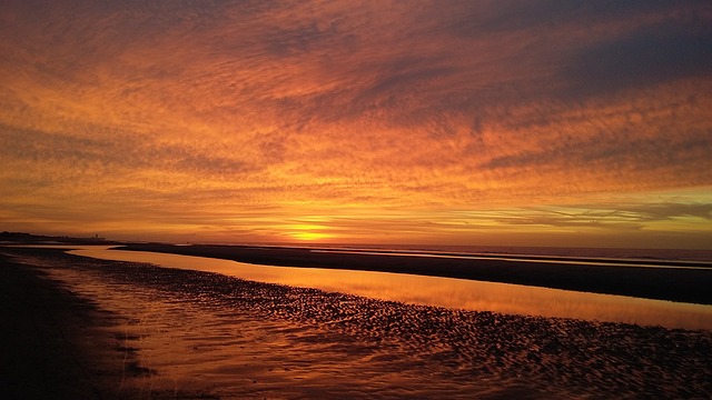 근로장려금신청자격조회