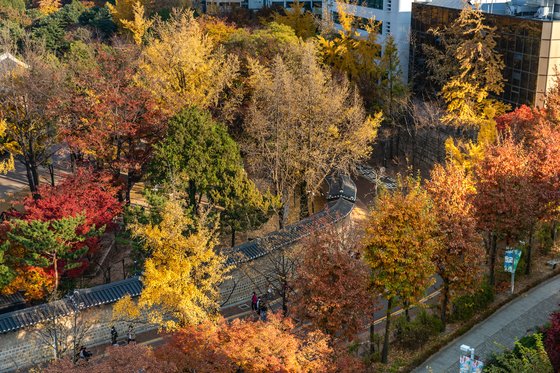 서울 단풍명소 BEST 07 데이트 코스 가족 나들이