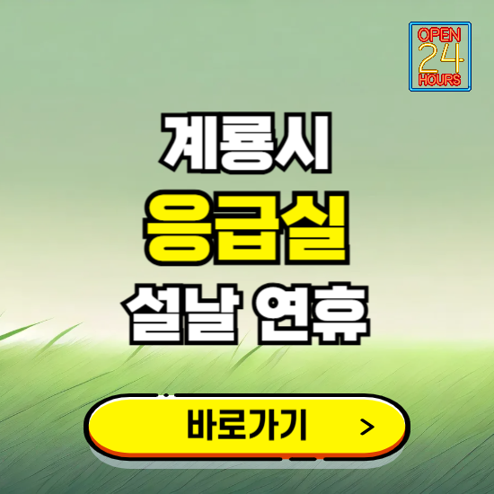 계룡시 설날 연휴 비상진료 응급실 병원 찾기 ❘ 내근처 24시 야간 심야 휴일 가능한 곳