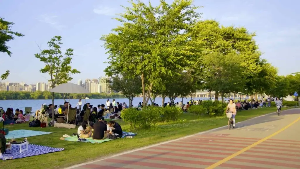 2024년 크리스마스, 꼭 가봐야 할 명소 10곳!