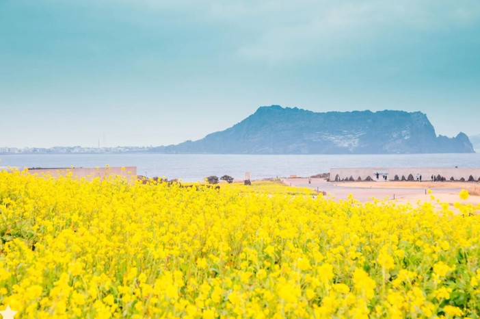 제주도 프리패스