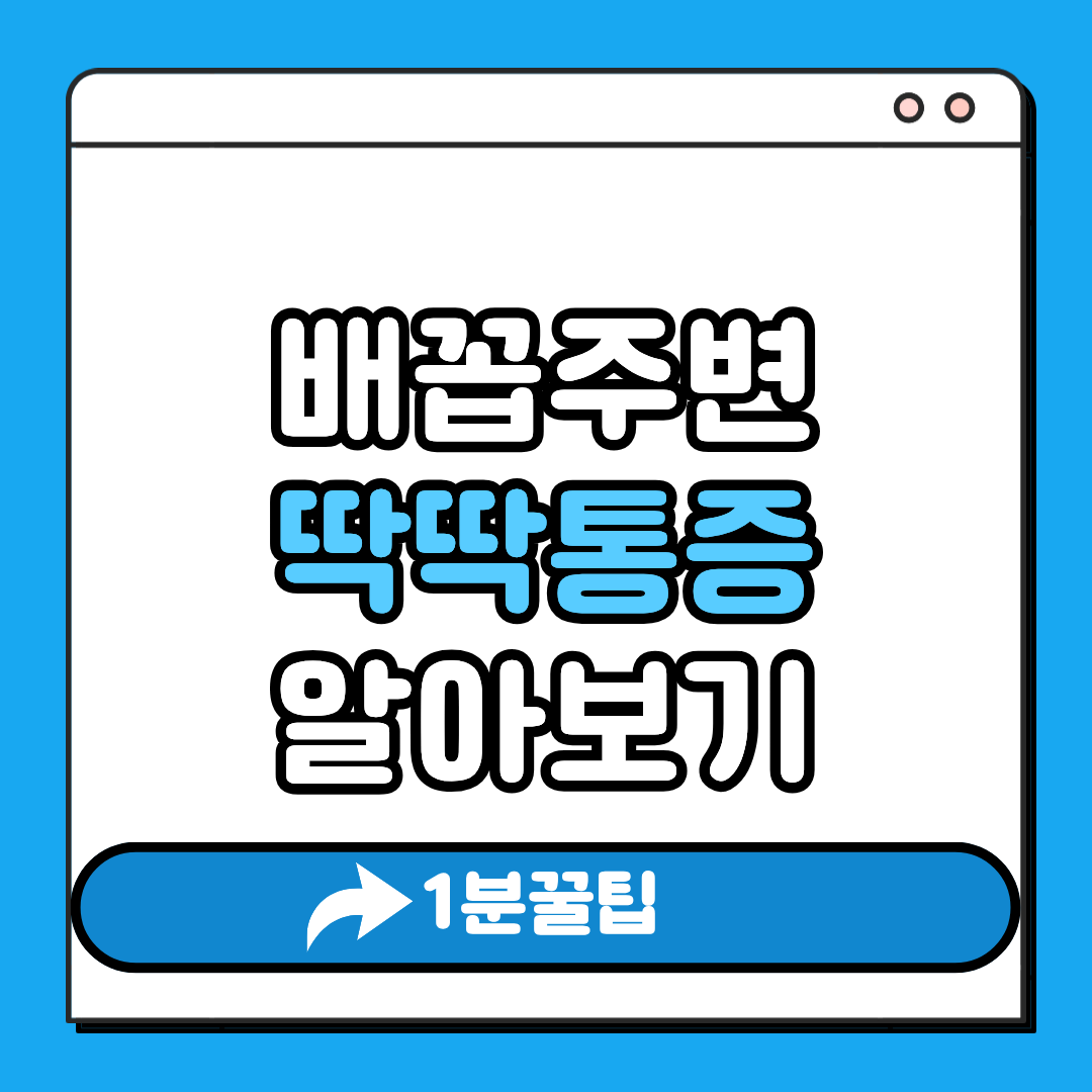 배꼽주변