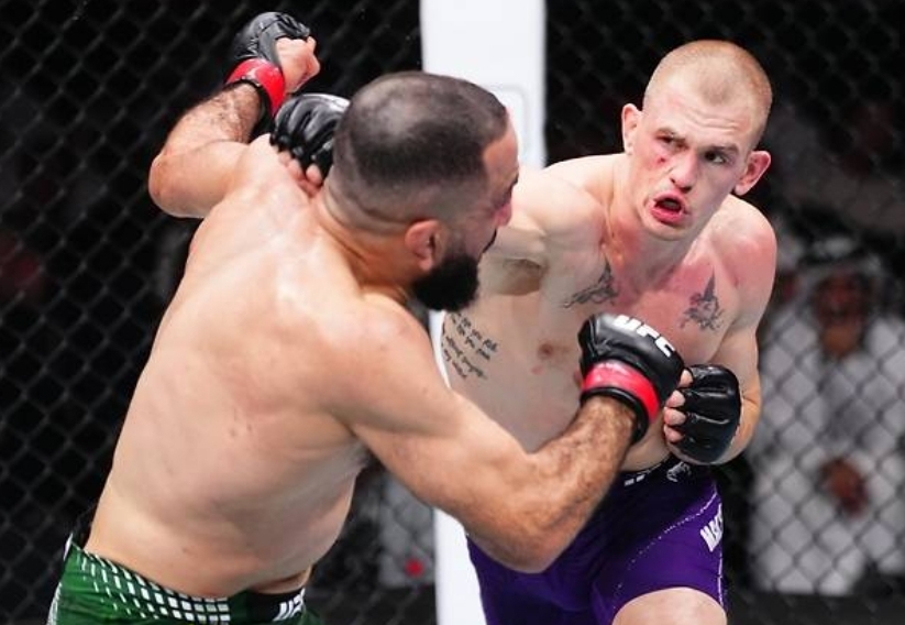 UFC 330