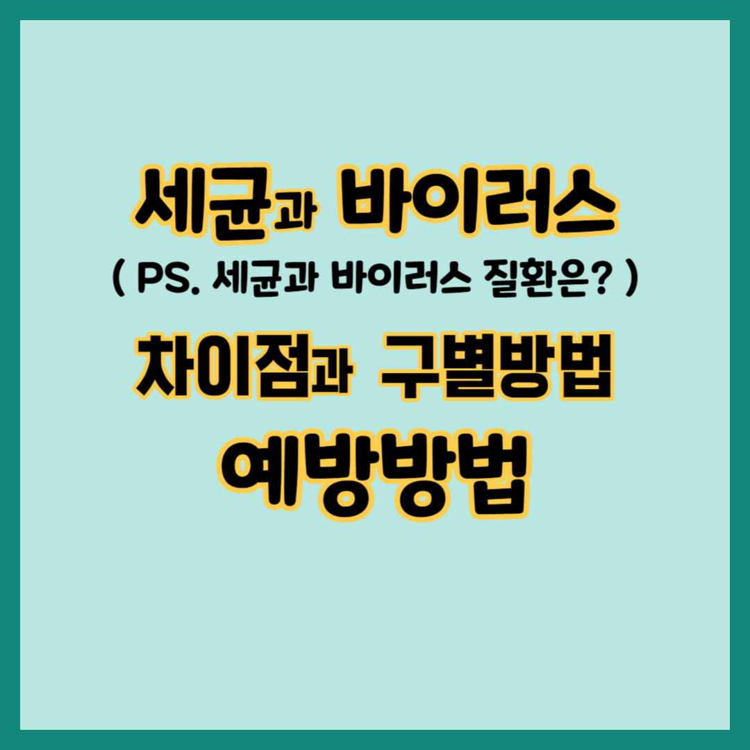 세균과 바이러스의 차이점과 구별방법 및 예방방법&#44; 세균이란?&#44; 바이러스란?&#44; 세균과 바이러스 구별방법 4가지&#44; 세균과 바이러스 질환은?&#44; 세균과 바이러스 예방방법