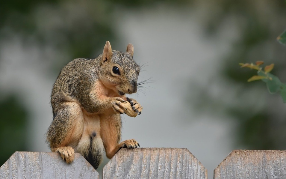 요즘 뜨는 혼밥 스타일, 돌싱의 선택 (혼밥, 돌싱, 스타일)