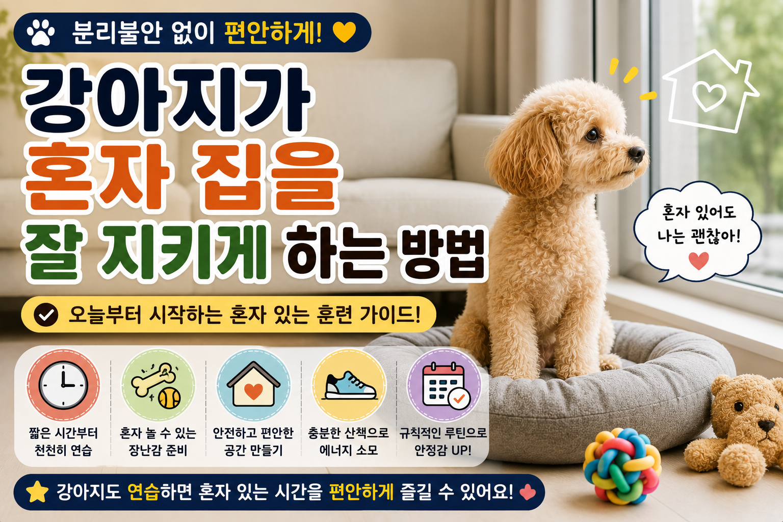 강아지가 혼자 집을 잘 지키게 하는 방법|분리불안 없이 편안하게 혼자 있는 훈련법