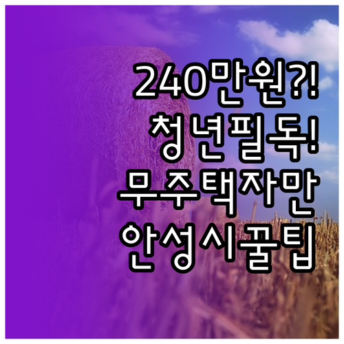 안성시 청년월세지원 240만원 받는 ..