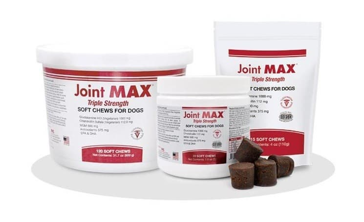 강아지 관절염 슬개골 관리가 필수! 추천 관절영양제 성분 알아보기