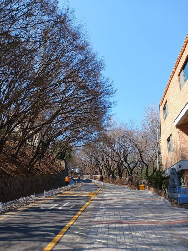 자유공원 오르막길