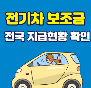 전국 지자체 보조금 지급현황 확인_-001.png