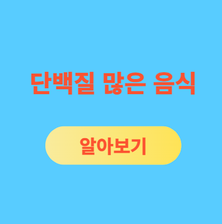 단백질 많은 음식 알아보기