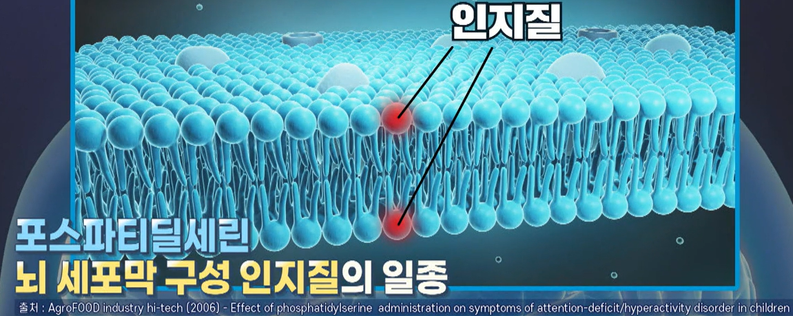 포스파티딜 세린