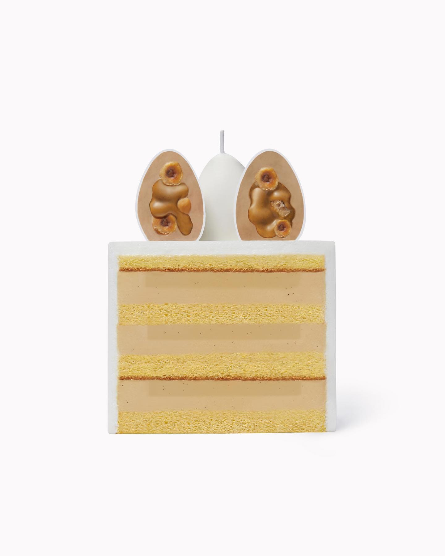 누데이크 벌스케이크 단면