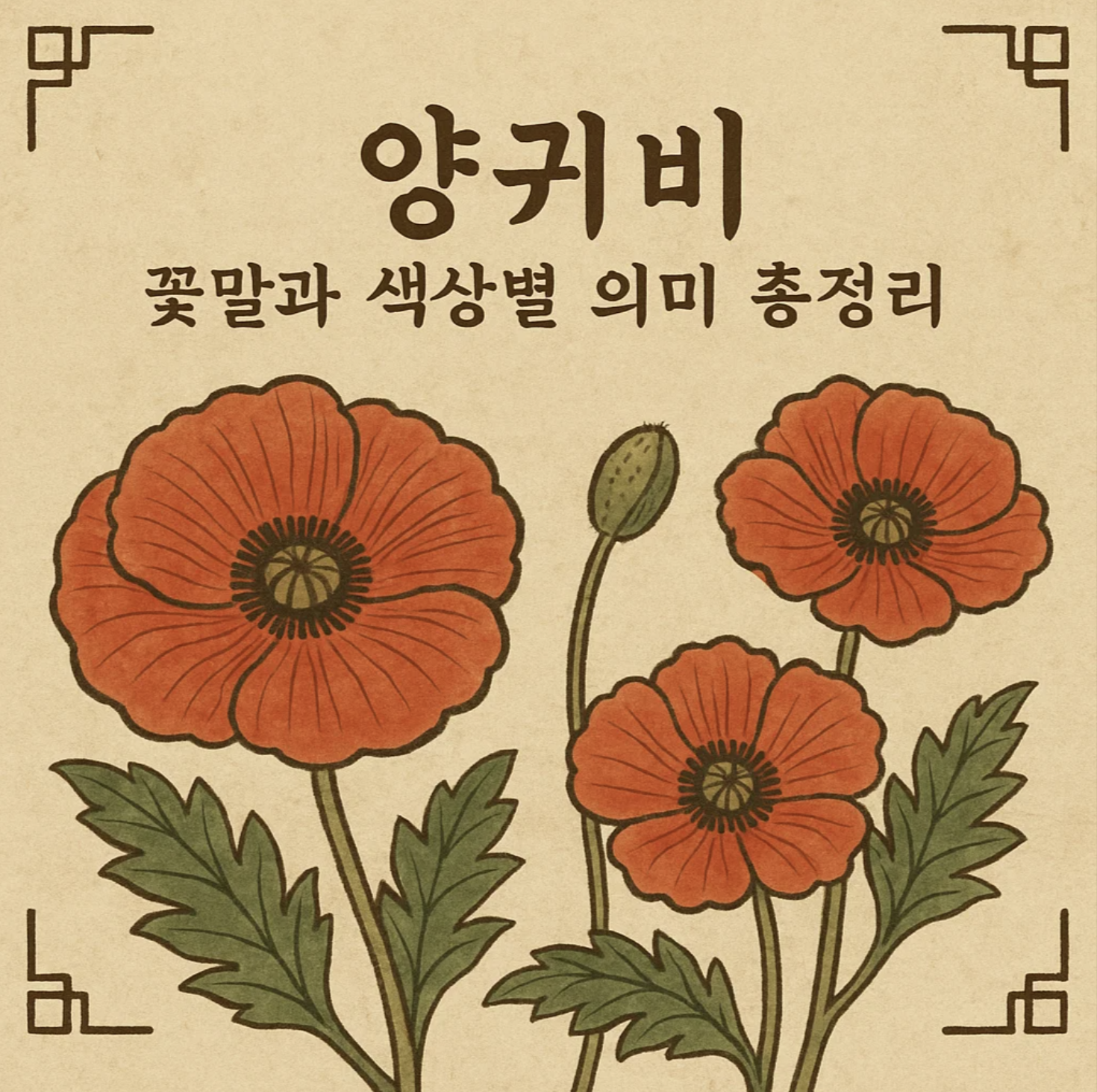 양귀비 꽃말과 색상별 의미 총정리