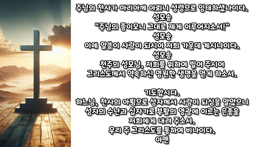 천주교 삼종 기도 기도문_주요 기도문