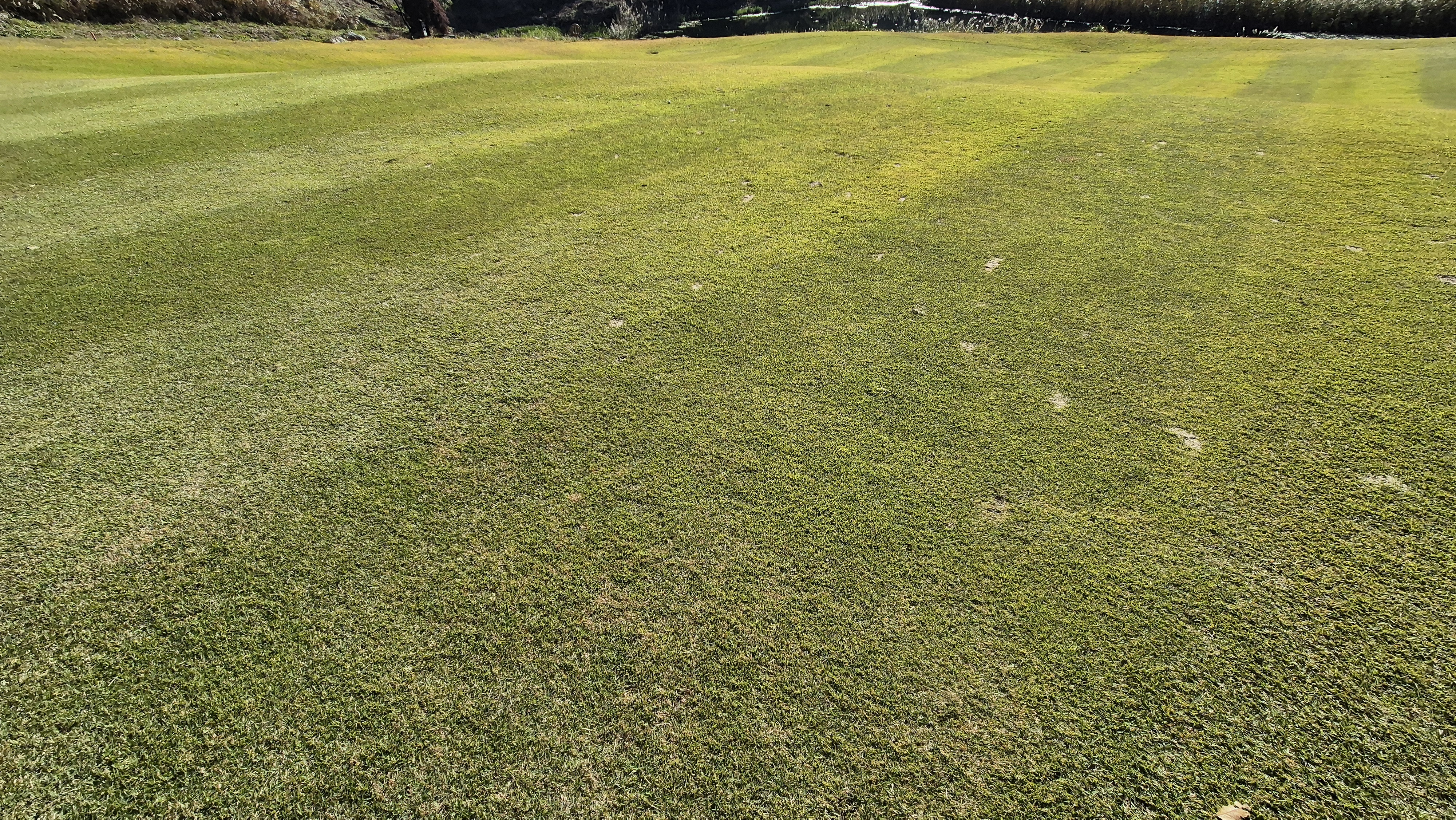 동촌gc 코스 관리 상태