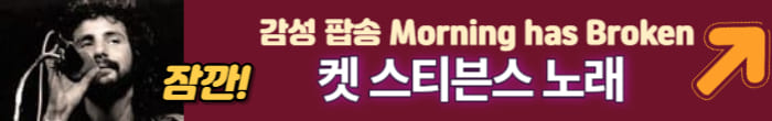 켓스티브 노래