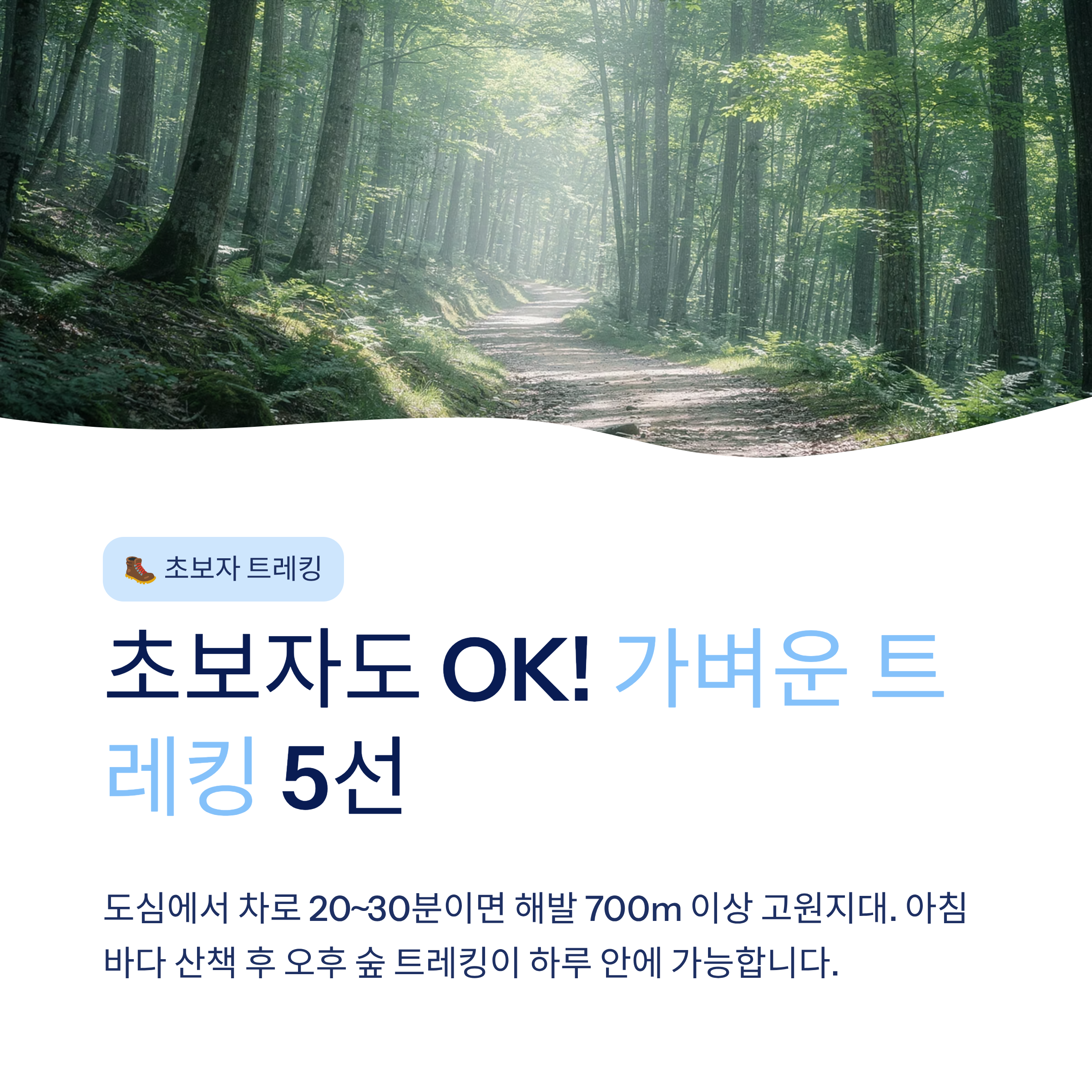 강릉 근교 산책 달리기 트레킹 코스 추천 ❘ 바다와 소나무 숲 사이를 걷는 법