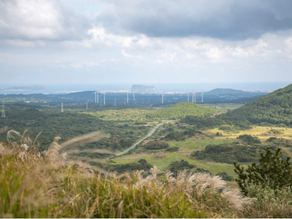제주도 여행 가을 겨울 가볼만한 곳 오름 추천 입장료 소요시간 반려동물 동반
