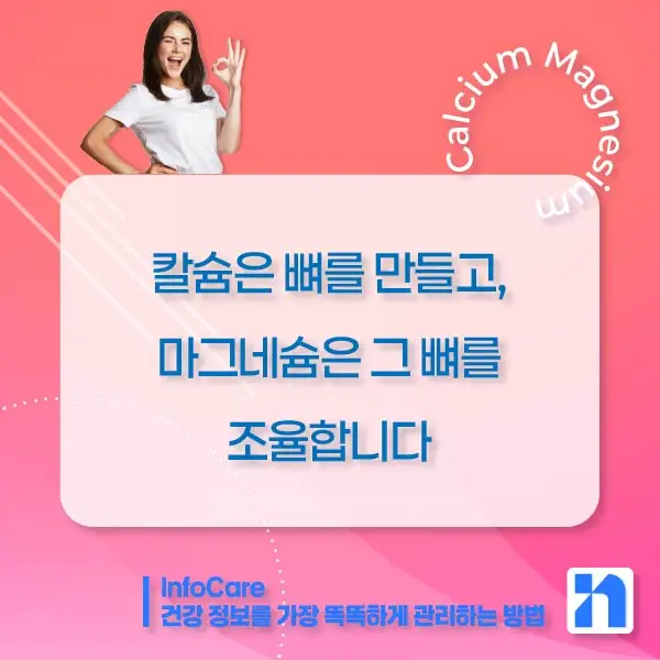 칼슘 마그네슘 영양제 효능, 먹는 방법