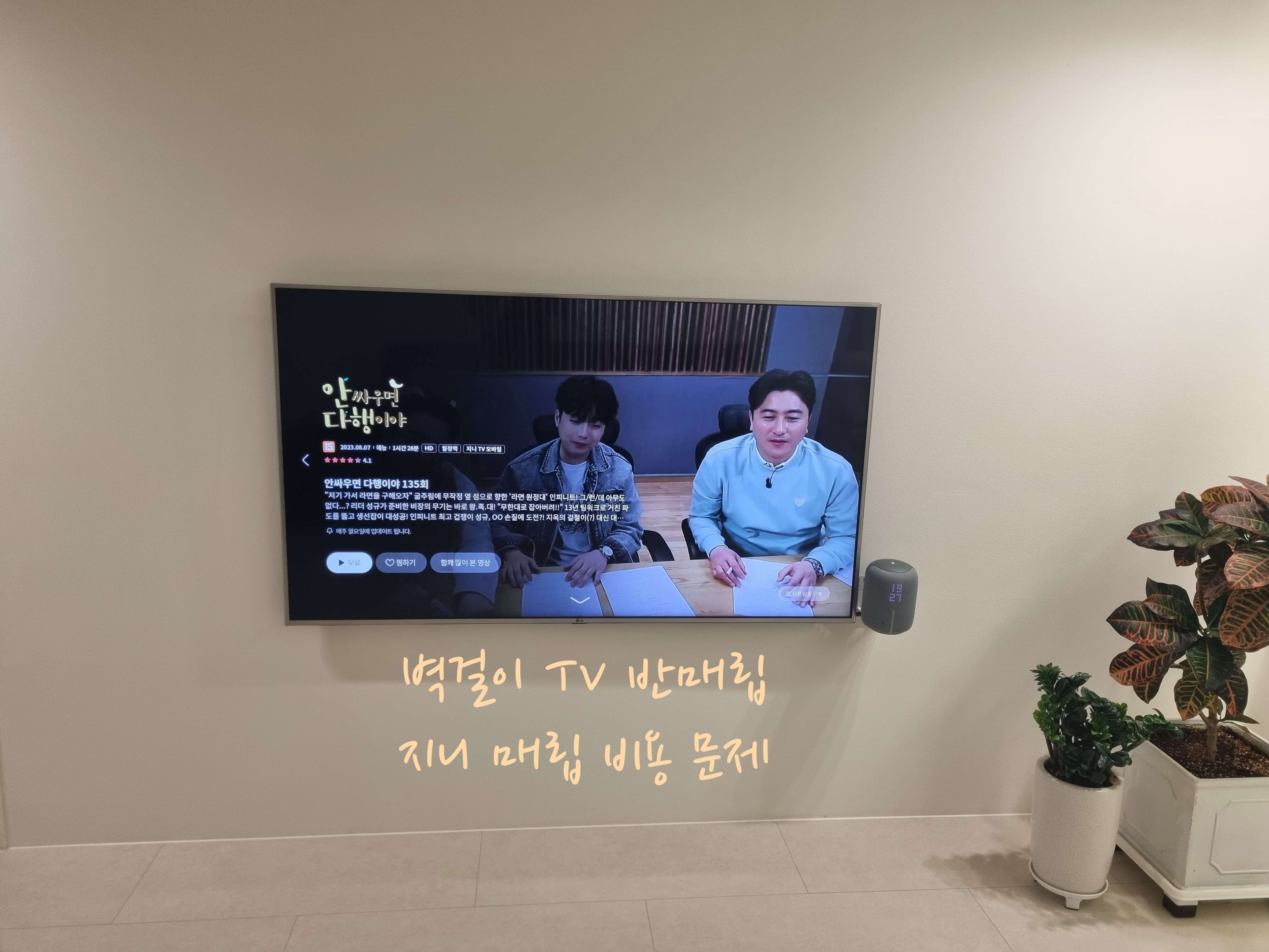 벽걸이 TV 반매립