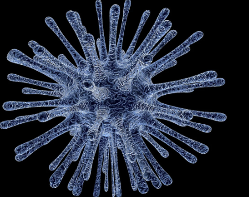 백혈구 수치가 낮은 이유 12
