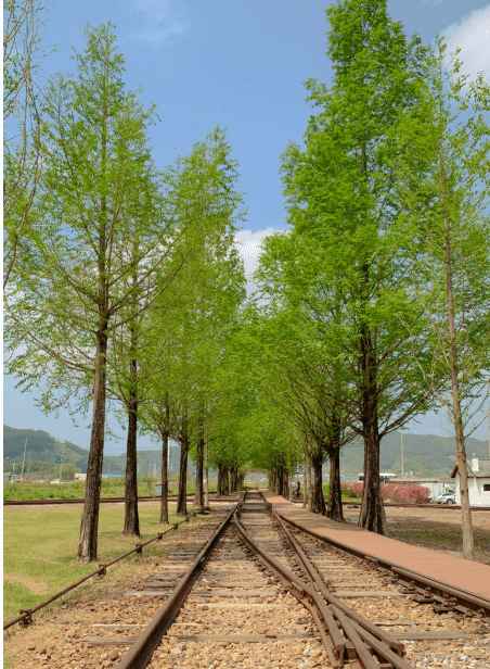 구서도역 영상촬영장