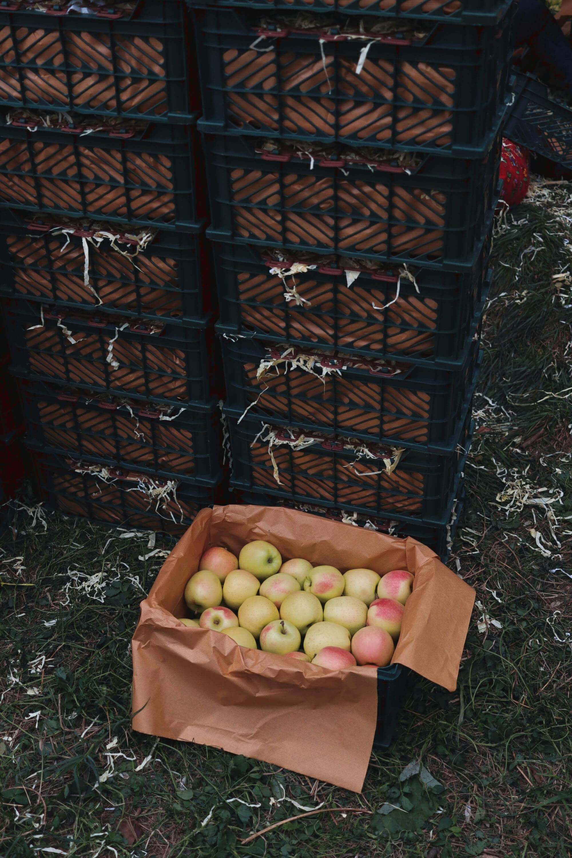 2025 농식품 바우처 신청 