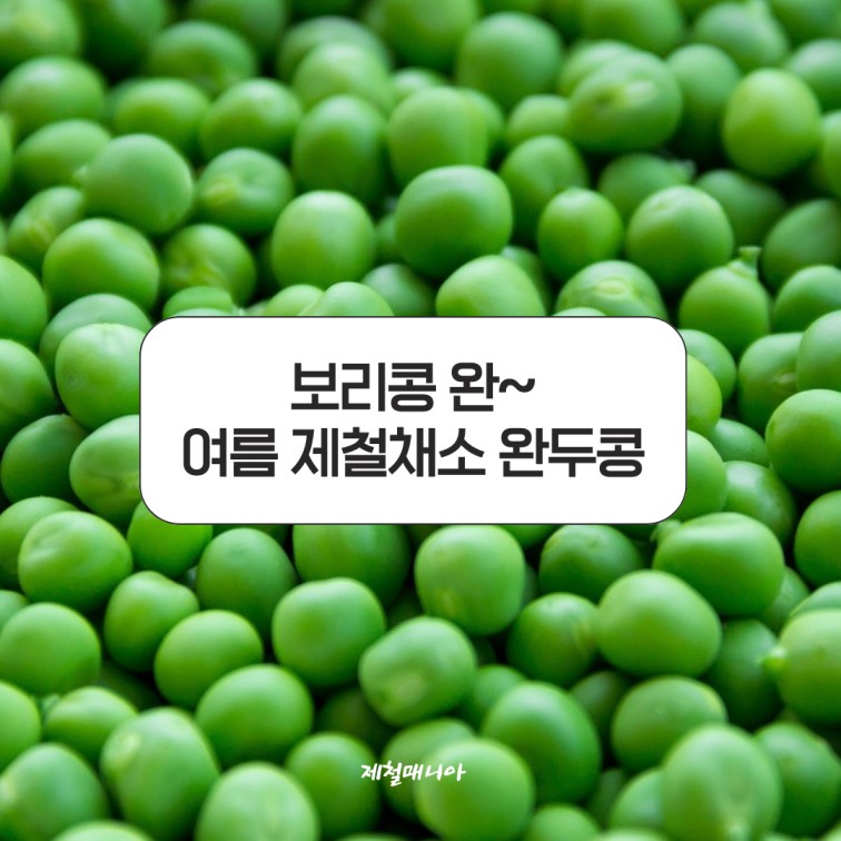 완두콩