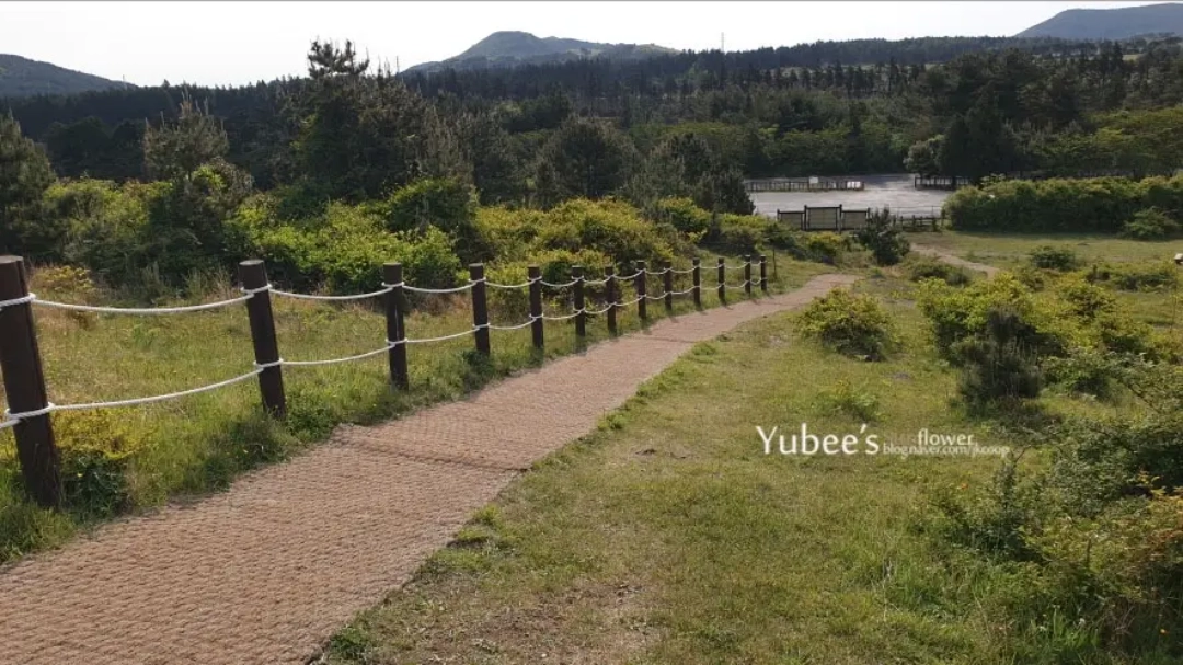 아부오름 정상 가는 길