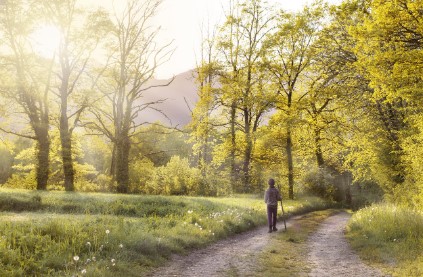 걷기운동 효과 하루 7천 보