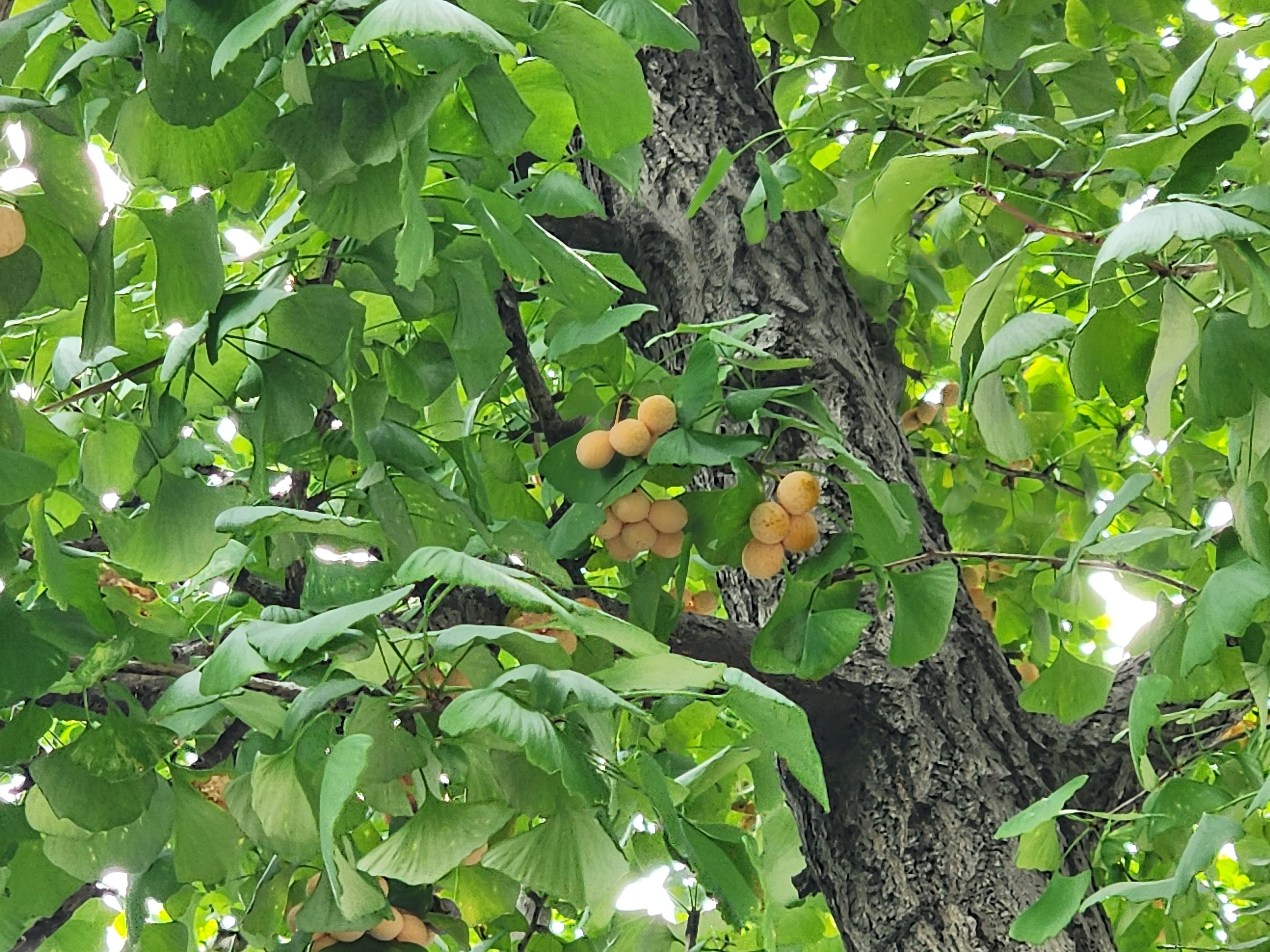 Alt 속성 문제 해결 설명 이미지