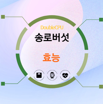 송로버섯 효능 5가지 알아보기