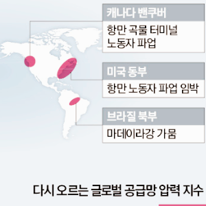 식량 관련주 대장주 테마주 TOP5 : 밀가루