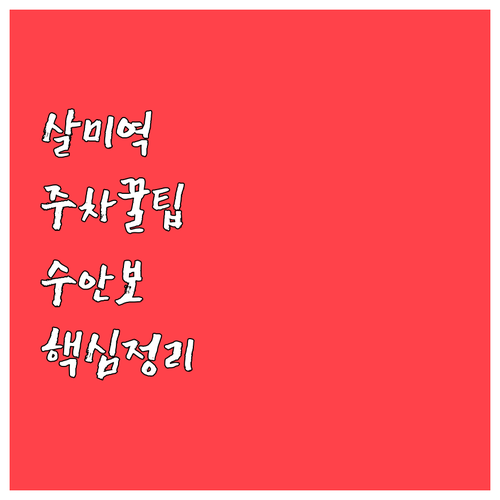 수안보온천 여행의 새로운 관문 살미역..