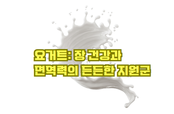 요거트: 장 건강과 면역력의 든든한 지원군