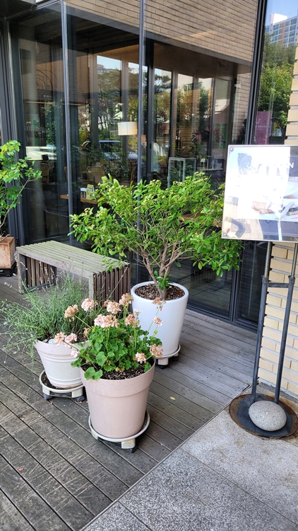 무등산- 근처-운림동-브런치-맛집-어반레시피