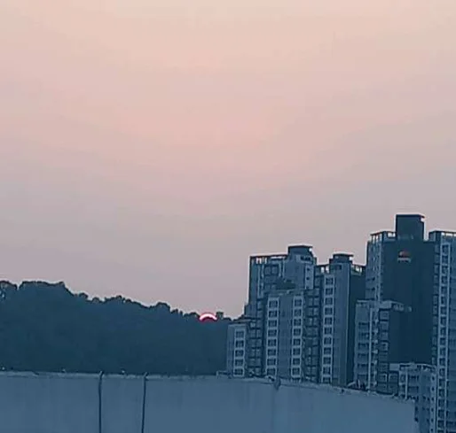 세인스